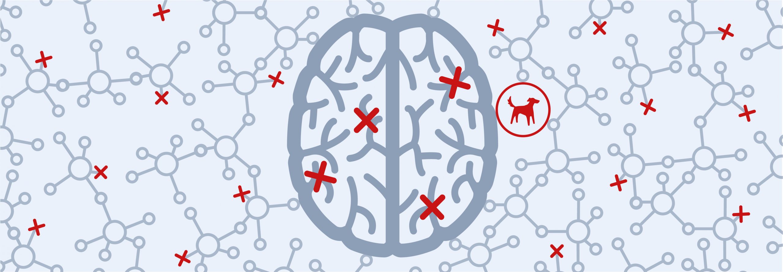 Cognitive Biases_Header Image